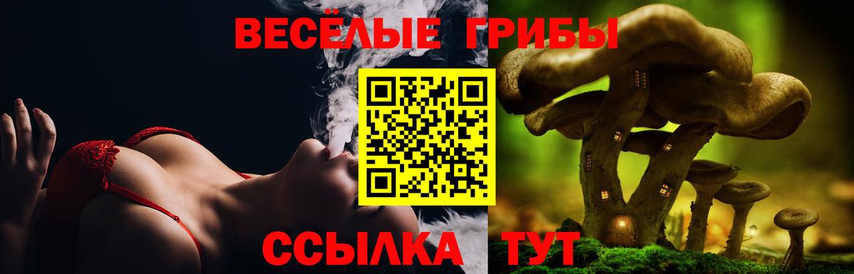 Псилоцибиновые грибы Magic Shrooms  Вход с VPN  Амурск 