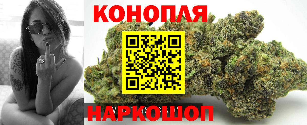 Шишки марихуана марихуана  Марихуана сатива  Амурск  Вход с VPN 